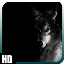 Black Wolf Wallpaper APK