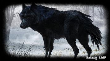 Black Wolf Wallpaper capture d'écran 3