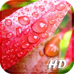 Spring Leaf wallpapers APK download