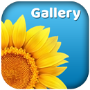 Gallery - Photo Album APK