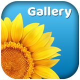 Gallery ikona