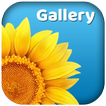 Gallery - Photo Album