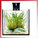 Galerie Aquarium Aquascape APK