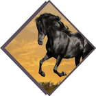 Gallery Horse icon