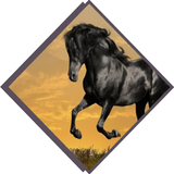 Galería de caballos icono