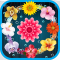 Blossom Garden