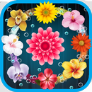 Blossom Garden APK