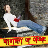 Murder Mystery icon