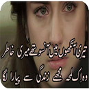 Dukhi Shayari - Sad Poetry Urdu Lines APK