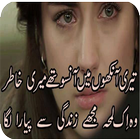 Dukhi Shayari - Sad Poetry Urdu Lines ícone