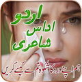 Love Poetry in Urdu (Muhabbat wali Shayri)