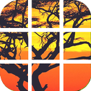 África puzzle APK