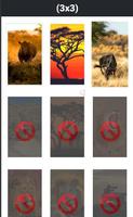 África puzzle screenshot 2