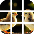 Birds Puzzle icono