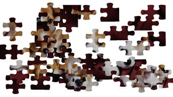 Beautiful puppies puzzle, dogs & jigsaw. syot layar 1