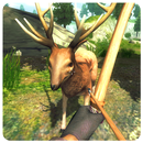 Archery Forest Animal Hunting APK