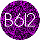 APK Tips B612 Selfiegenic Camera