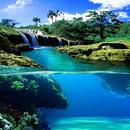 Paradise Show (without net) APK