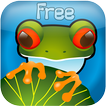 Jumpy Frogs Free