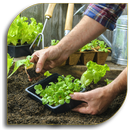 Gardening Tips (Guide) APK