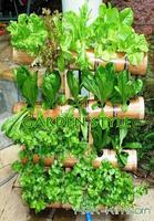 Garden style Khmer اسکرین شاٹ 2