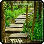 庭の装飾のアイデア