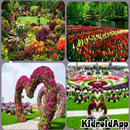 Garten-Design-Ideen APK