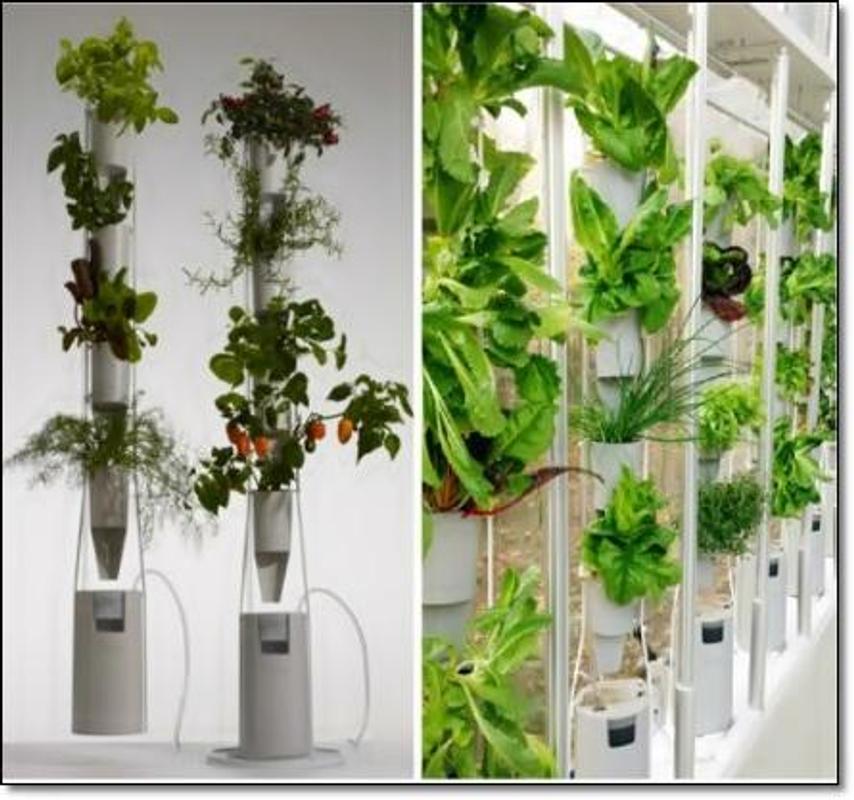 Garden Design Pots And Planters Popular Pour Android Téléchargez L Apk Garden Design Pots And Planters Popular Affiche