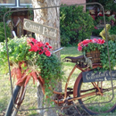 APK Garden Designs Idea