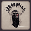 Native American HD Wallpapers