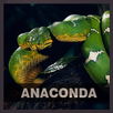 Anaconda HD Wallpapers APK
