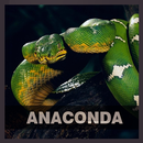 Anaconda HD Wallpapers APK