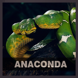 Anaconda HD Wallpapers