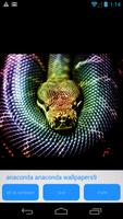 Anaconda HD Wallpapers screenshot 2