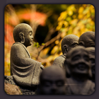 Buddha HD Wallpapers icono