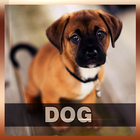 Dog Growl Sounds simgesi