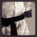 Karate HD Wallpapers APK