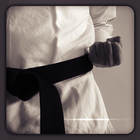 Karate HD Wallpapers icône