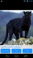 Panther HD Wallpapers capture d'écran 3