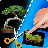 My Bonsai-APK