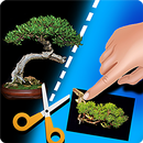 My Bonsai APK