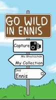 Go Wild In Ennis 海報