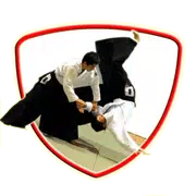 Aikido Movement