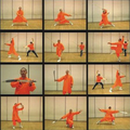 motion martial