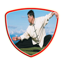 APK Tai Chi Movement