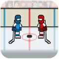 Hockey Physics