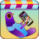 Moving GIFs for Whatsapp  🎬