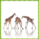 New Giraffe Onet Connect Games APK
