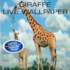 Cute Giraffe Wallpaper icon