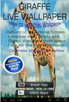 Cute Giraffe Wallpaper poster